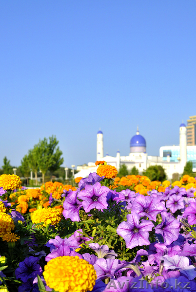 ТОО"Атырау Зелен Строй ЛТД" - Изображение #1, Объявление #1054173