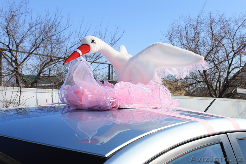 Торжественная выписка из роддома. - Изображение #1, Объявление #1058679