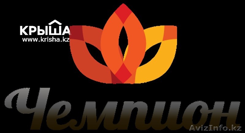 Рекламное агенство "Чемпион" - Изображение #1, Объявление #1158119