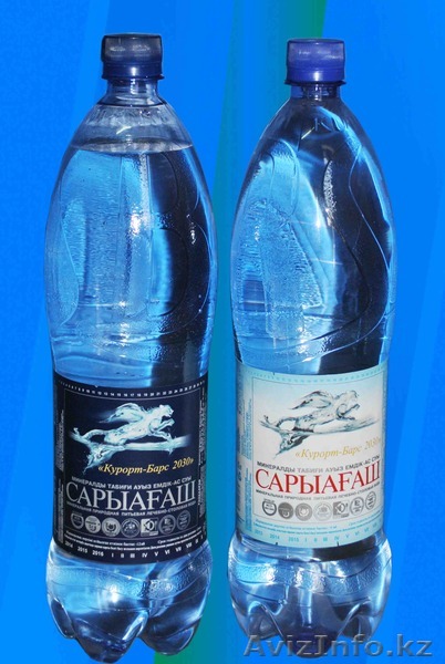 сарыагаш барс - Изображение #1, Объявление #925292