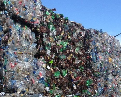 Прессованная баклашка - Изображение #1, Объявление #1486020