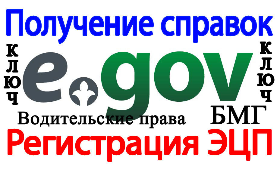Услуги ЦОНа егов (egov) - Изображение #1, Объявление #1722451