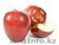 ЯБЛОКИ, ГРУШИ И СЛИВЫ ИЗ ПОЛЬШИ - Изображение #5, Объявление #30463