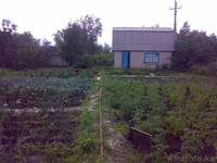 Дача 7,5 сот. Район Телецентр. общество \"Родник\" - Изображение #1, Объявление #321049