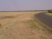 Продаю земельный  участок 40 га, с жилым домом и сельхоз. техникой - Изображение #3, Объявление #14569