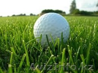 Центр Благоустройства и Озеленения "ЗАПАД" -строительство бассейнов,саженцы..... - Изображение #9, Объявление #707610