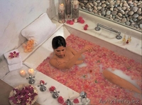 Центр Благоустройства и Озеленения "ЗАПАД" -строительство бассейнов,саженцы..... - Изображение #7, Объявление #707610