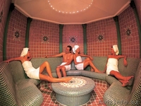 Центр Благоустройства и Озеленения "ЗАПАД" -строительство бассейнов,саженцы..... - Изображение #3, Объявление #707610