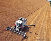 Продажа комбайнов VECTOR 410, ACROS 530 - Изображение #7, Объявление #587119