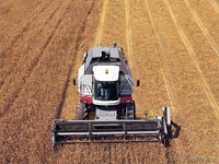 Продажа комбайнов VECTOR 410, ACROS 530 - Изображение #5, Объявление #587119