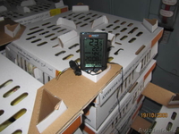 Инкубационное яйцо, суточные цыплята - Изображение #2, Объявление #825306