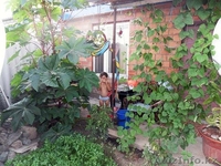 срочно!!!продам дом меловые горки - Изображение #4, Объявление #856345