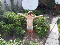 срочно!!!продам дом меловые горки - Изображение #6, Объявление #856345