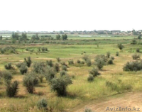 земля в Уральске 101 га рядом с рекой в самом городе - Изображение #1, Объявление #920816