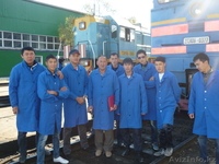 Востребованные курсы - Изображение #3, Объявление #1047561