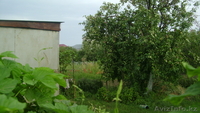  (Асан) Дачный участок , 8 соток с вагончиком - Изображение #6, Объявление #1138612