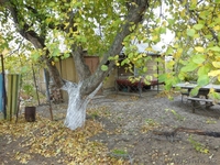  САМАЛ 3 Когда вы обладаете участком земли, вы обладаете   частью всего мира - Изображение #4, Объявление #1172743