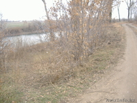  АСАН-  Сельский шарм - Изображение #8, Объявление #1189643