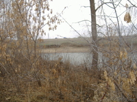  АСАН-  Сельский шарм - Изображение #9, Объявление #1189643