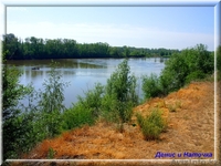   Отличное уединенное место для летнего отдыха - Изображение #2, Объявление #1223542