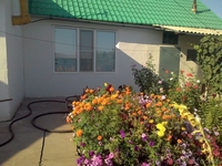 Продам дом недорого - Изображение #3, Объявление #1263393