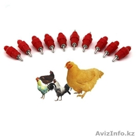 Ниппельные поилки - Изображение #3, Объявление #1480709