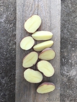 Картофель продовольственный от КФХ - Изображение #2, Объявление #1619182