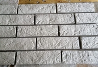 Формы для гипса ( декоративный кирпич). Формы под гипс.62 - Изображение #1, Объявление #1731377