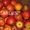 Наиболее хорошие яблоки из Польши - большой опт !! - Изображение #2, Объявление #377443