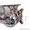 Турбина Skoda Octavia 1.8 TSI - Изображение #2, Объявление #1040094