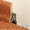 Пробковый погонаж - Пробковые плинтусы, уголки, профили - Изображение #1, Объявление #1373668