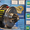 Картридж, ремкомплект турбины Mazda 6 CD - Изображение #2, Объявление #1416463