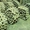 Гусеницы для тр. Т-4 А, ТТ-4, ТТ-4 М новые - Изображение #3, Объявление #1595926