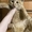 Котенок девочка в хорошие руки срочно - Изображение #4, Объявление #1740329