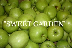 Наиболее хорошие яблоки из Польши - большой опт !! - Изображение #3, Объявление #377443