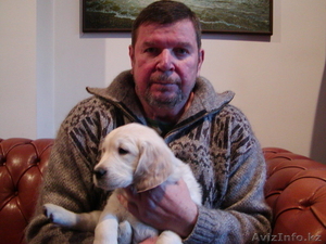 Подготовлю диссертации,  монографии,  статьи,  авторефераты 