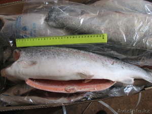 Продаю морскую рыбу оптом - Изображение #1, Объявление #754361
