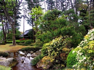 Продам гречку пр-о  РК,  ВКО,  Семей