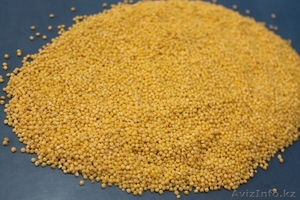 пшено шлифованное 1 сорт Россия