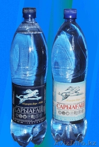 минеральная вода сарыагаш