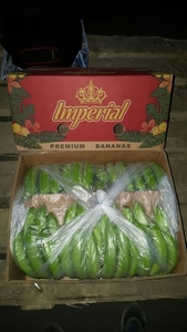 Свежий банан оптом.