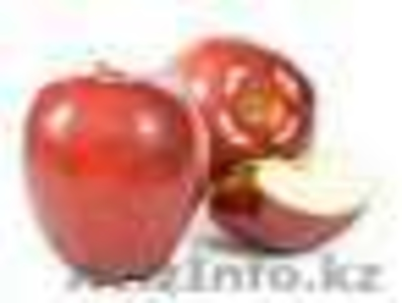 ЯБЛОКИ, ГРУШИ И СЛИВЫ ИЗ ПОЛЬШИ - Изображение #5, Объявление #30463