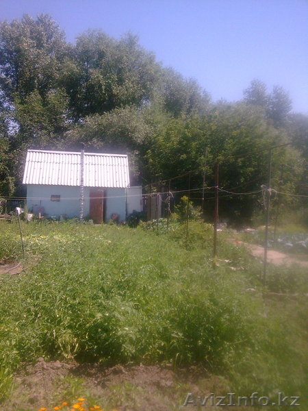 Продам дом в.Уральск, п.Серебряково - Изображение #5, Объявление #331669