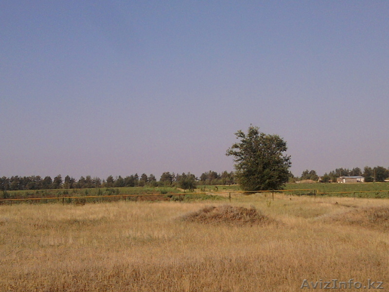 Продаю земельный  участок 40 га, с жилым домом и сельхоз. техникой - Изображение #2, Объявление #14569