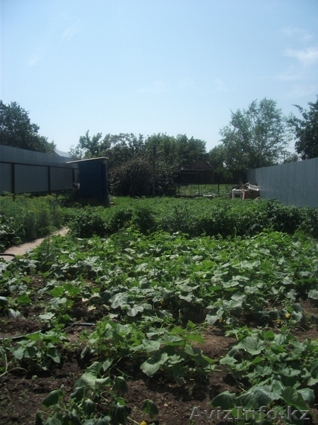 Продам дом в районе новой мечети - Изображение #4, Объявление #586604