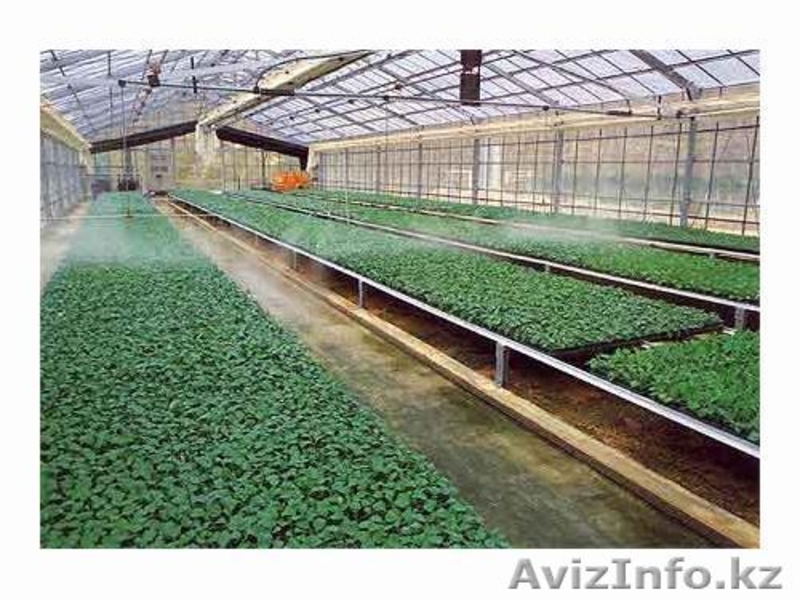 Центр Благоустройства и Озеленения "ЗАПАД" -строительство бассейнов,саженцы..... - Изображение #4, Объявление #707610