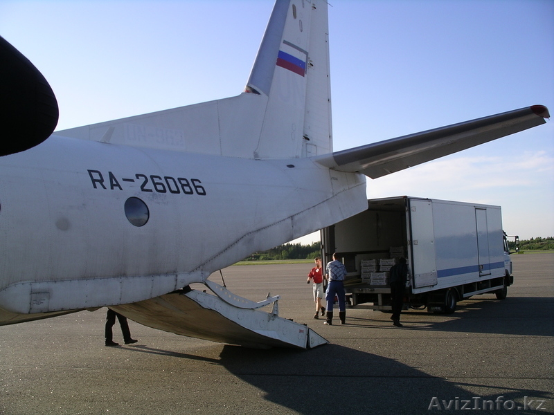 Инкубационное яйцо, суточные цыплята - Изображение #4, Объявление #825306