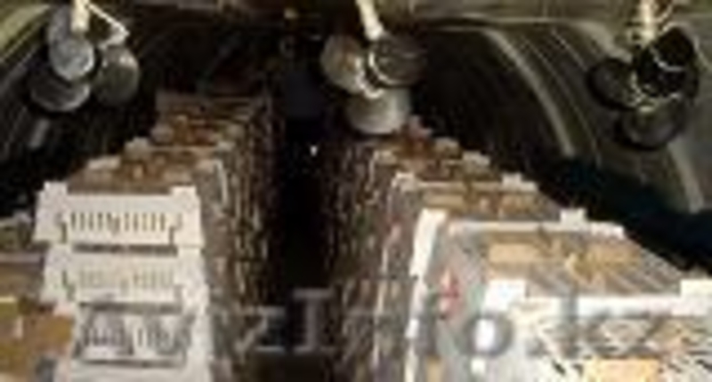 Инкубационное яйцо, суточные цыплята - Изображение #5, Объявление #825306