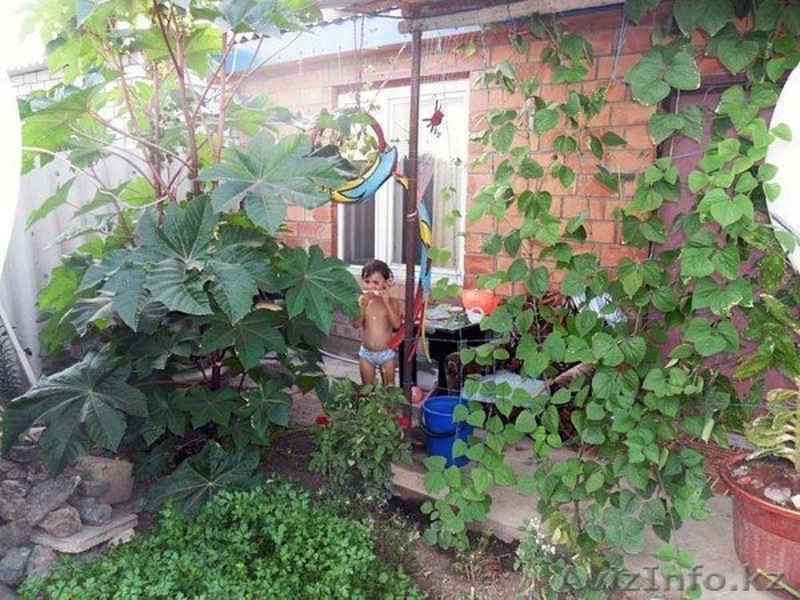 срочно!!!продам дом меловые горки - Изображение #4, Объявление #856345