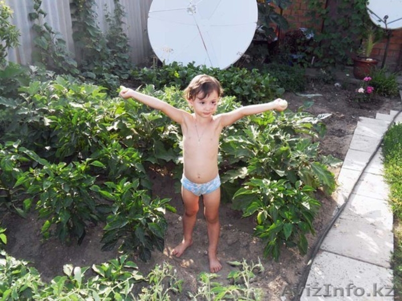 срочно!!!продам дом меловые горки - Изображение #6, Объявление #856345